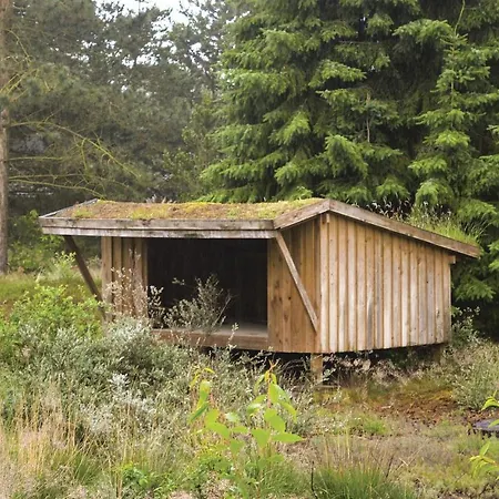 Romo With A Fireplace 333