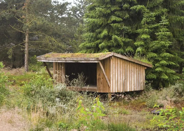 With A Fireplace 333